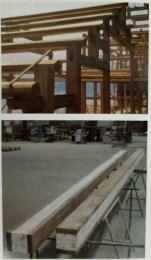 竹木建筑结构材制造技术与应用