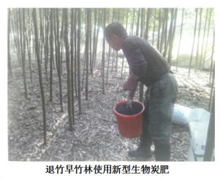 退化竹林土壤的生态修复机制与技术研究
