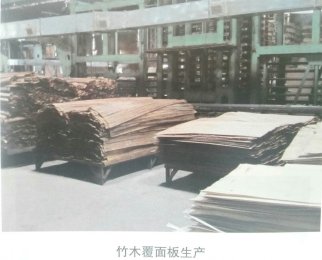 结构用竹木复合覆面板制造技术